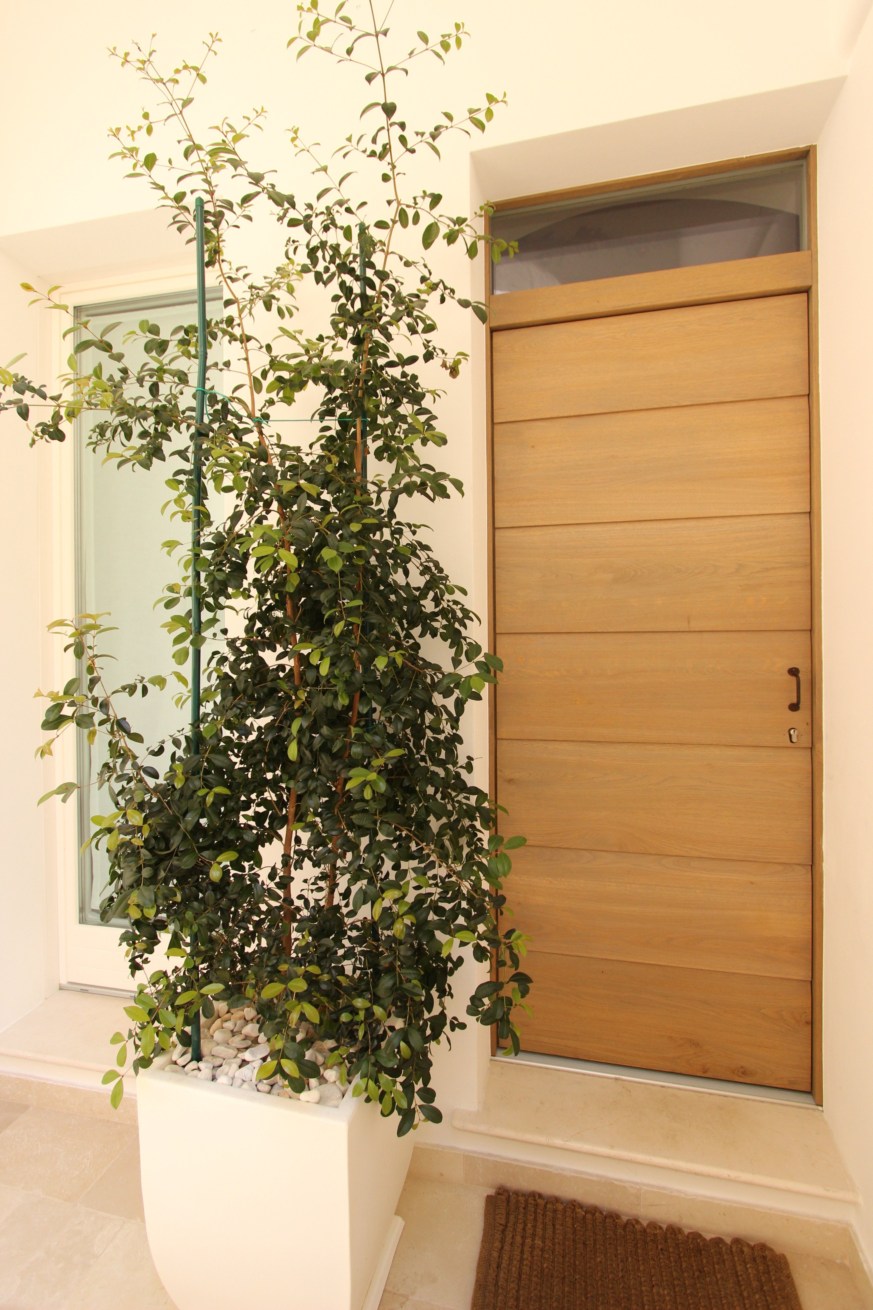 2014 年完成的 Casa A 住宅设计 | 历史建筑的室内设计与恢复-3