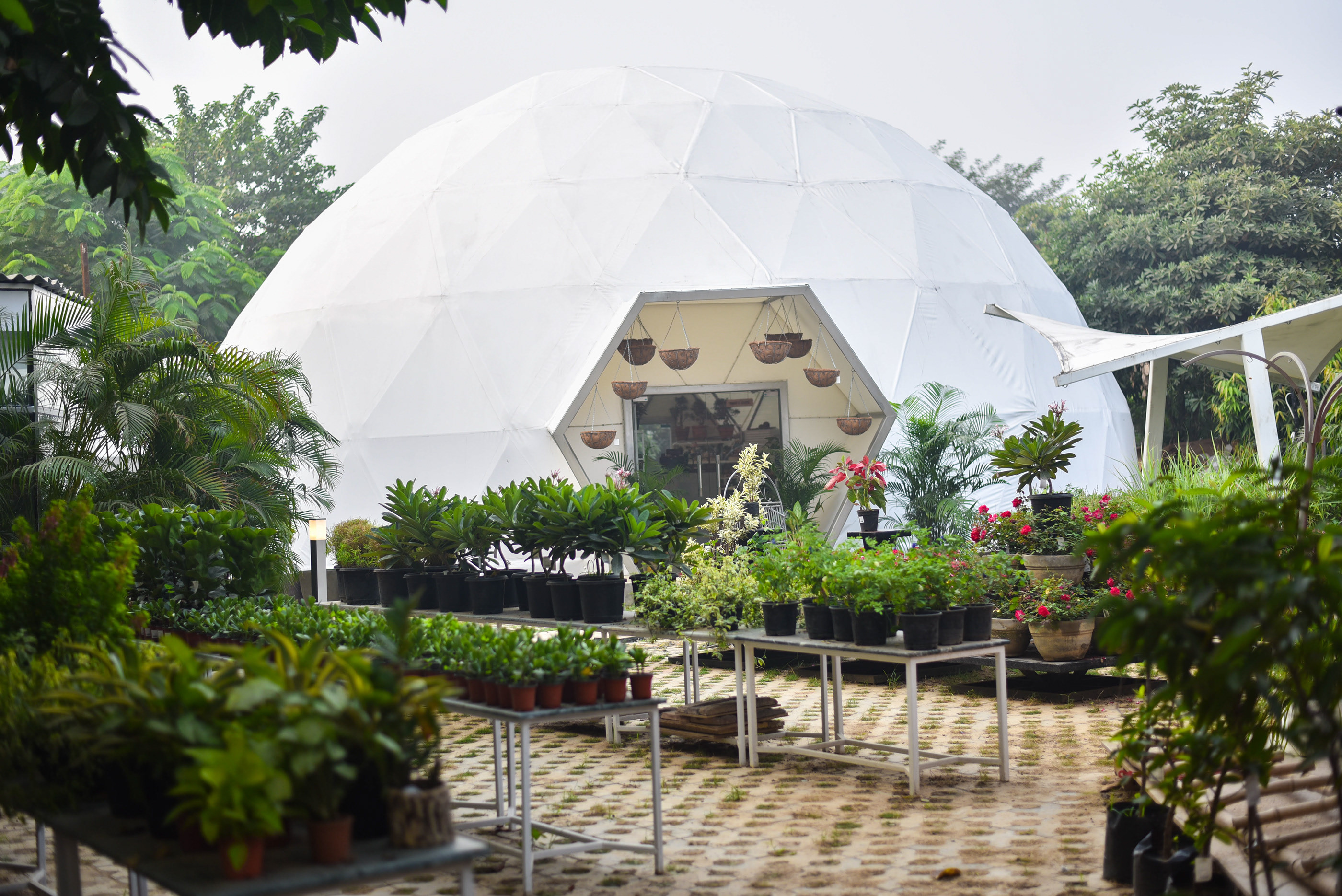 绿色氧吧 NG Studio-29