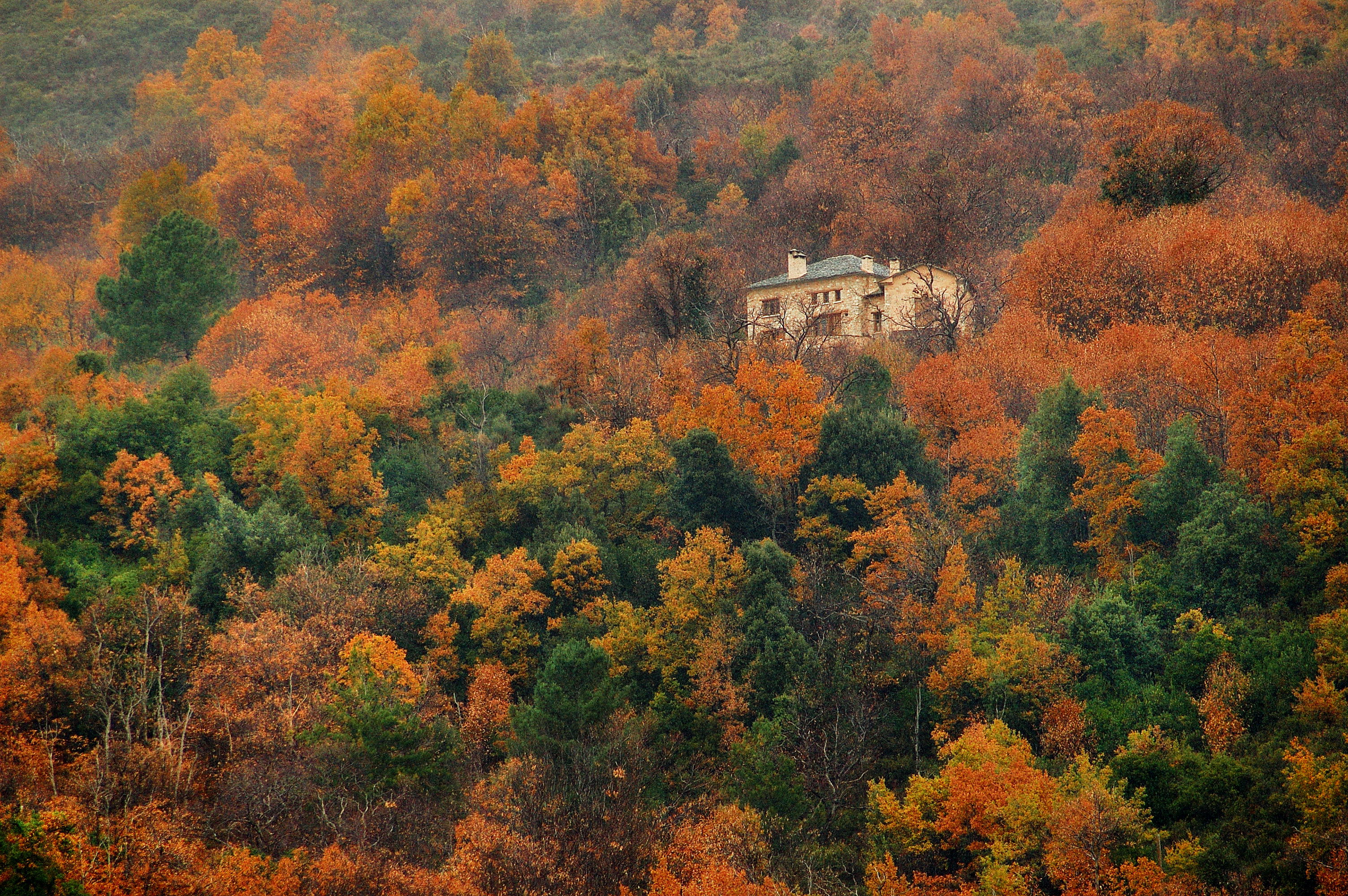 Pelion 山间混凝土石屋，融入自然的简约生活-3