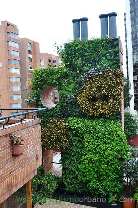 哥伦比亚绿色公寓墙 · 13 种植物的垂直花园-23