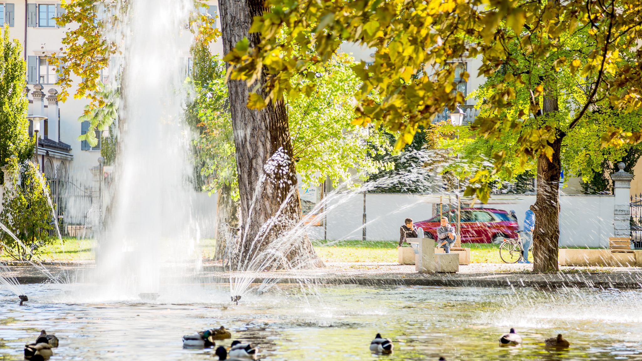 意大利 Trento 市 Piazza Dante 广场南花园复兴项目-19