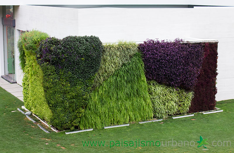 墨西哥绿意盎然的家庭住宅-37