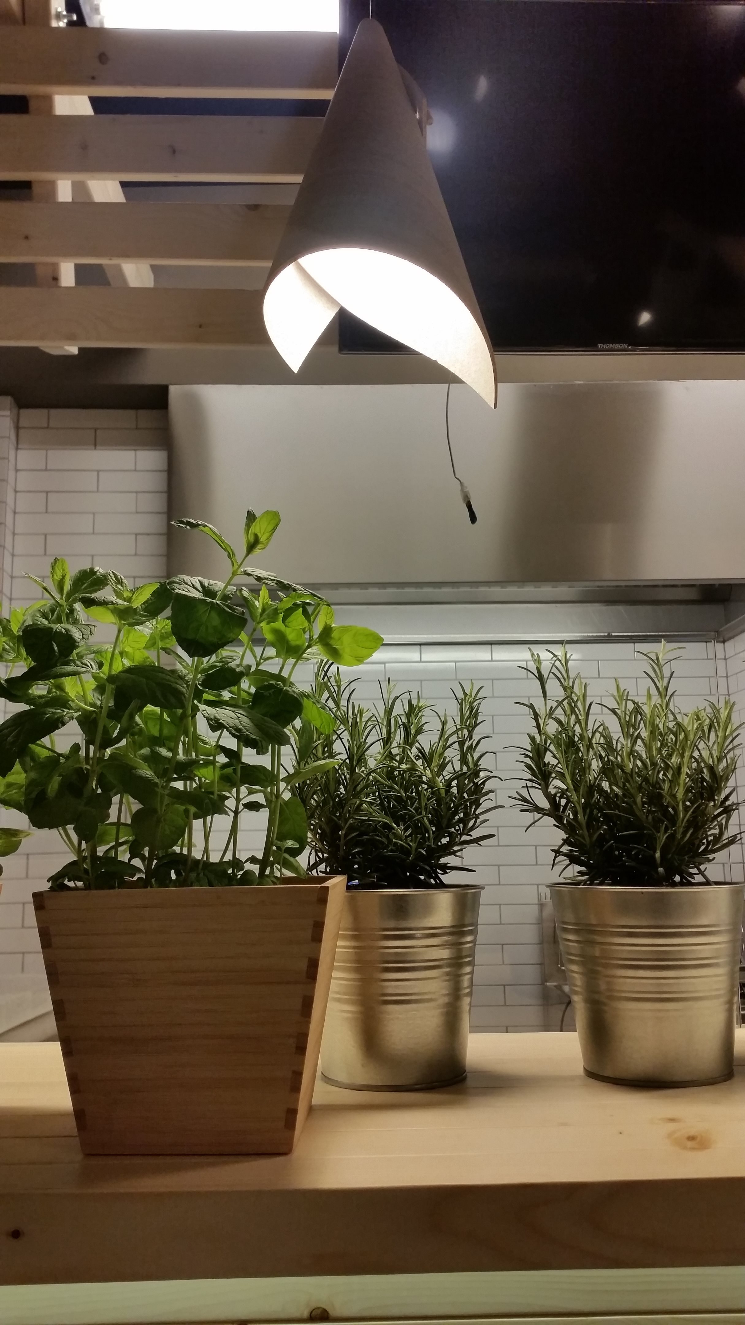 Mamma Patata 餐厅设计-26