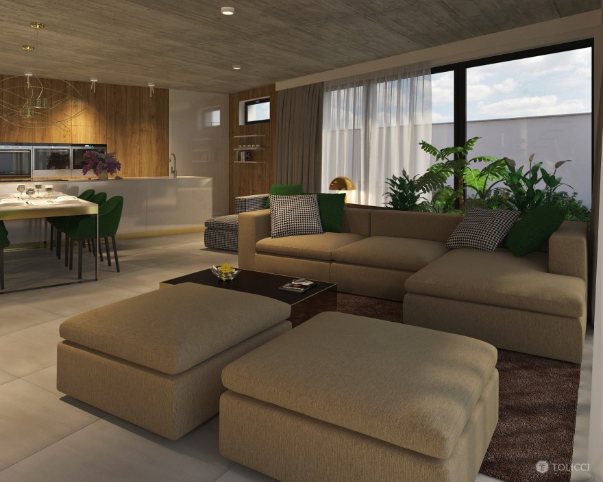 2015 年未实现的布拉提斯拉瓦家庭住宅设计-35