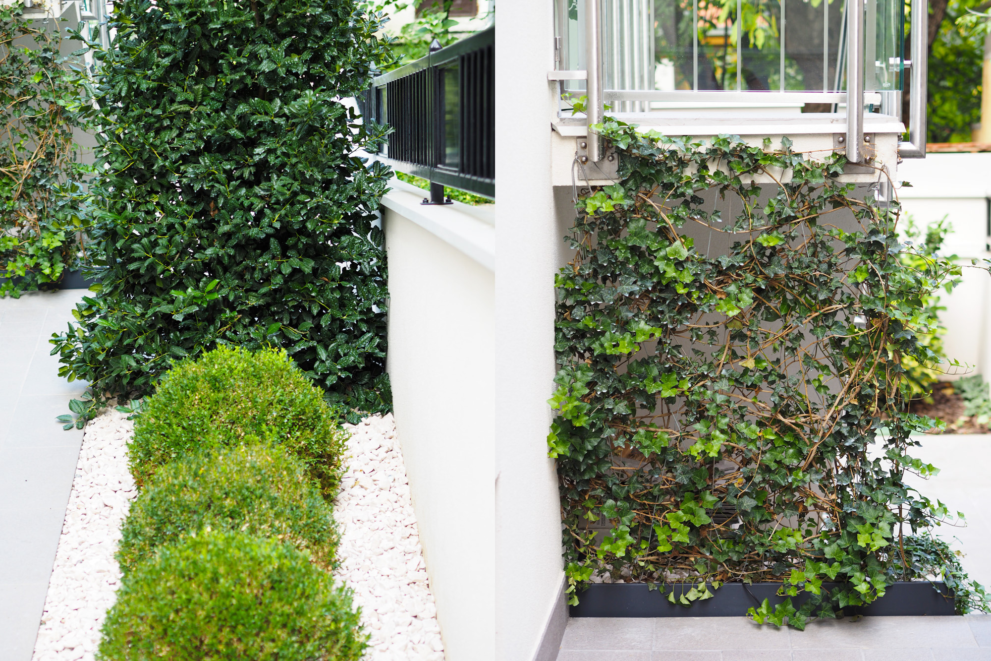 为所有感官而创造，私人住宅花园和屋顶露台-9