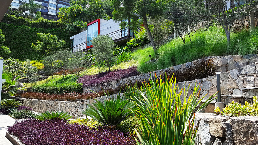 绿意盎然的家 · 打造 10 个月的世外桃源-1