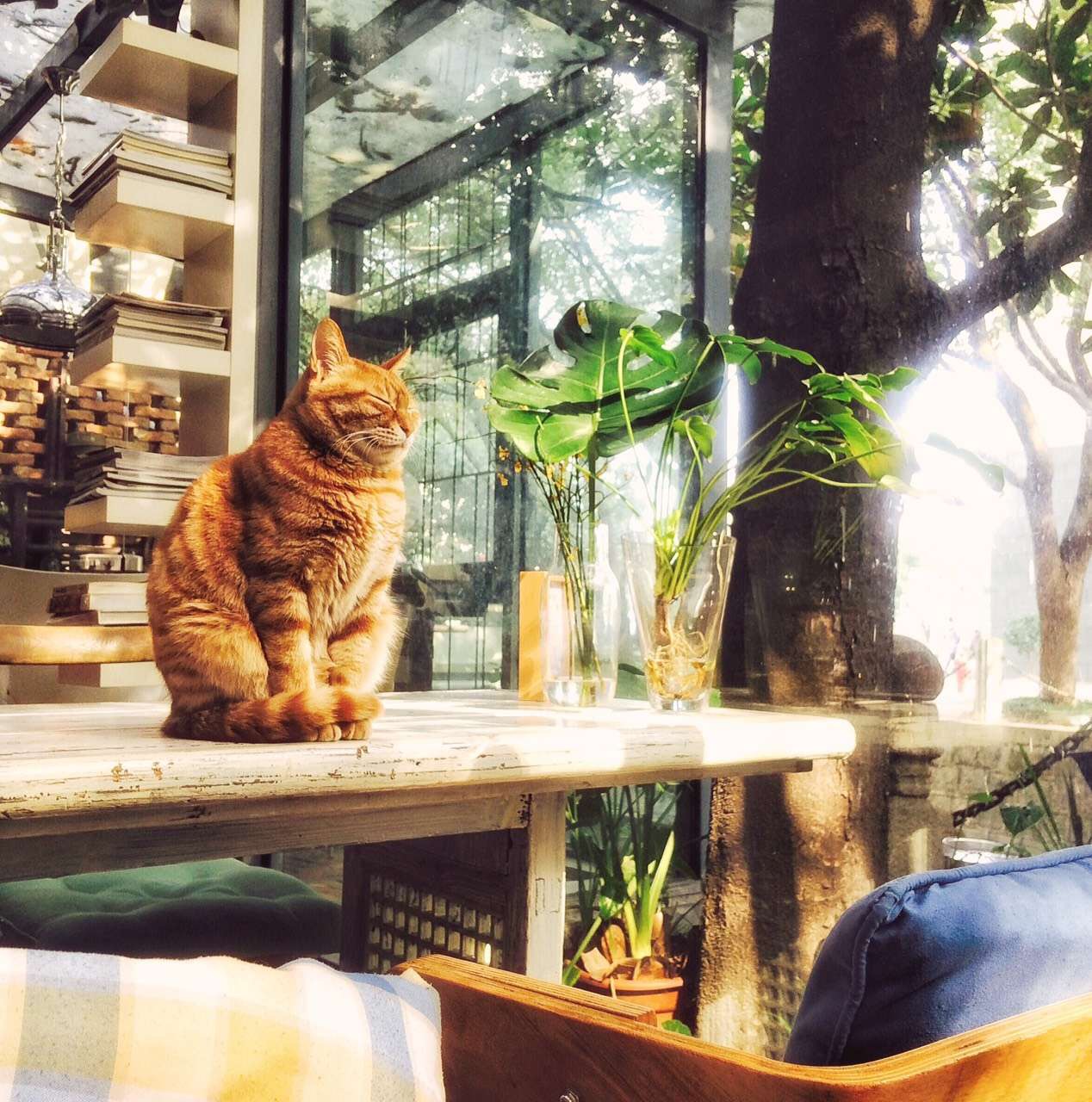 【呼吸自然】Cafe&Design-18