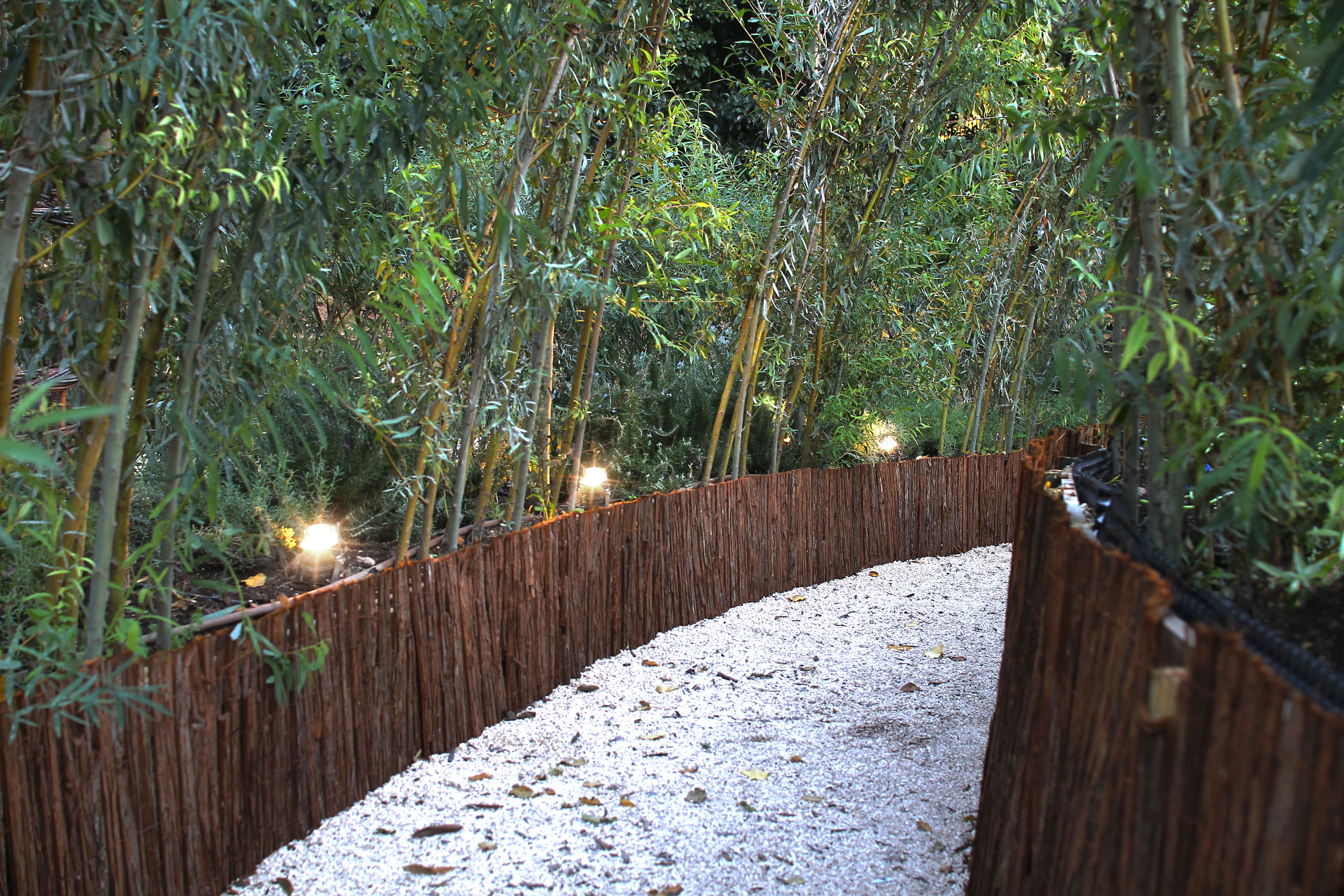 梦幻乐园灯光设计，打造光影盛宴-6