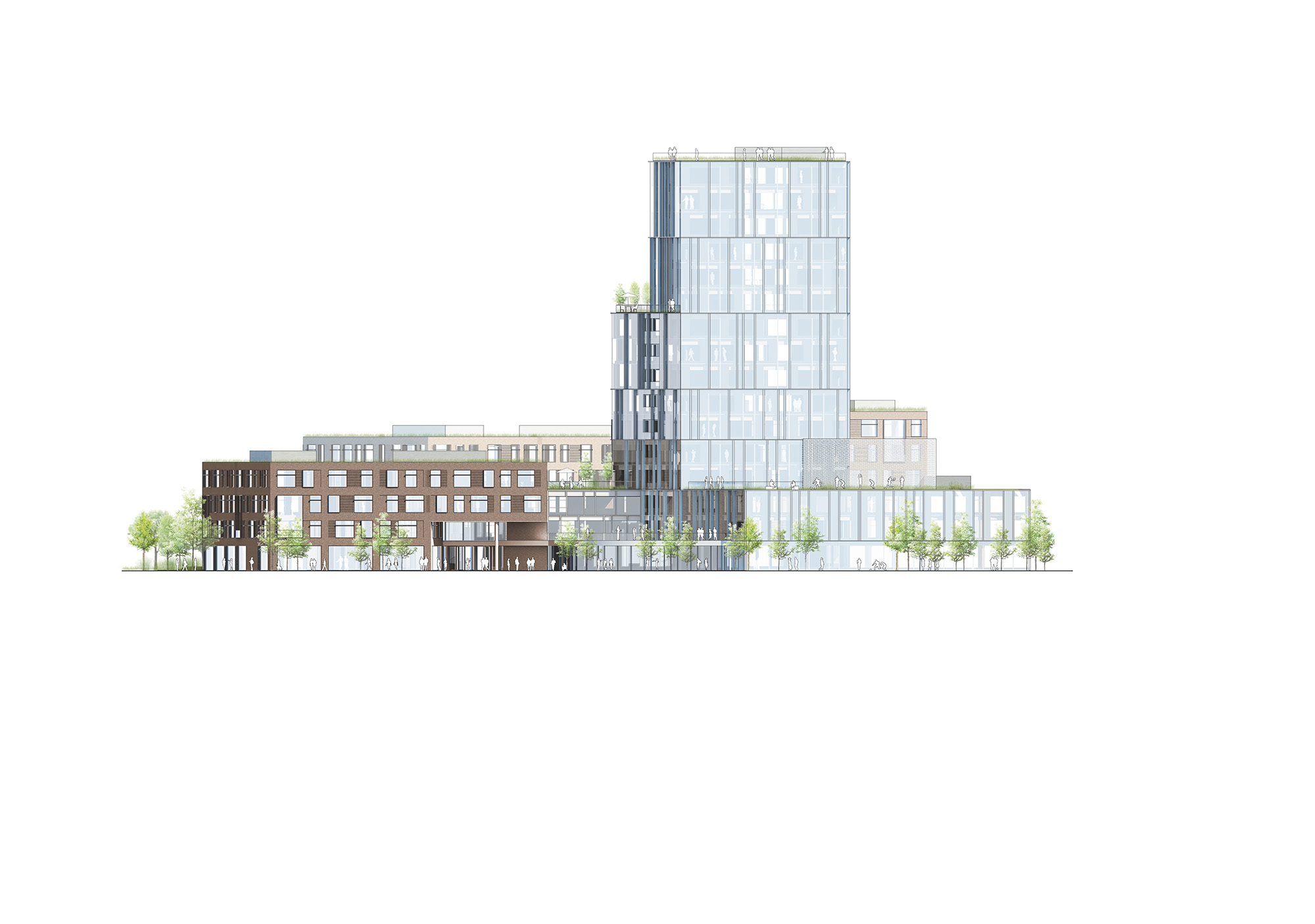 通过大学学院,校园霍森-16