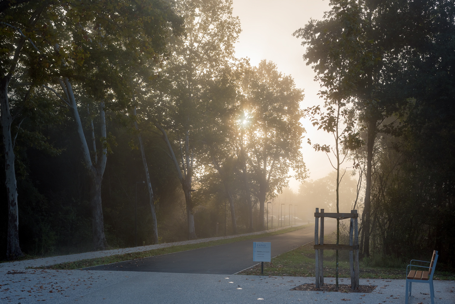 养老医疗中心 Barail | 关爱老年人的温馨家园-19