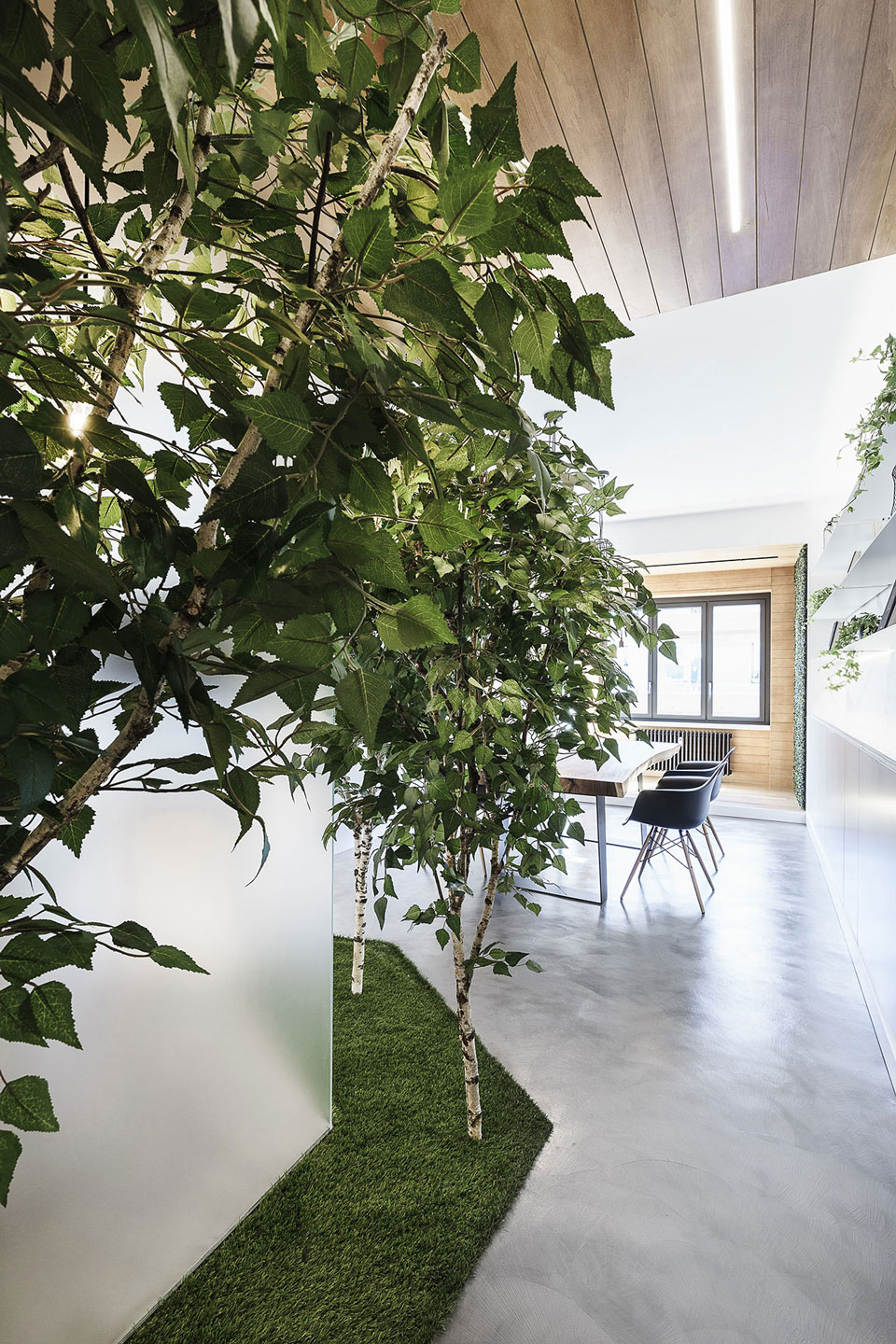 罗马创意工作室 | 绿意盎然，现代与传统共融-3