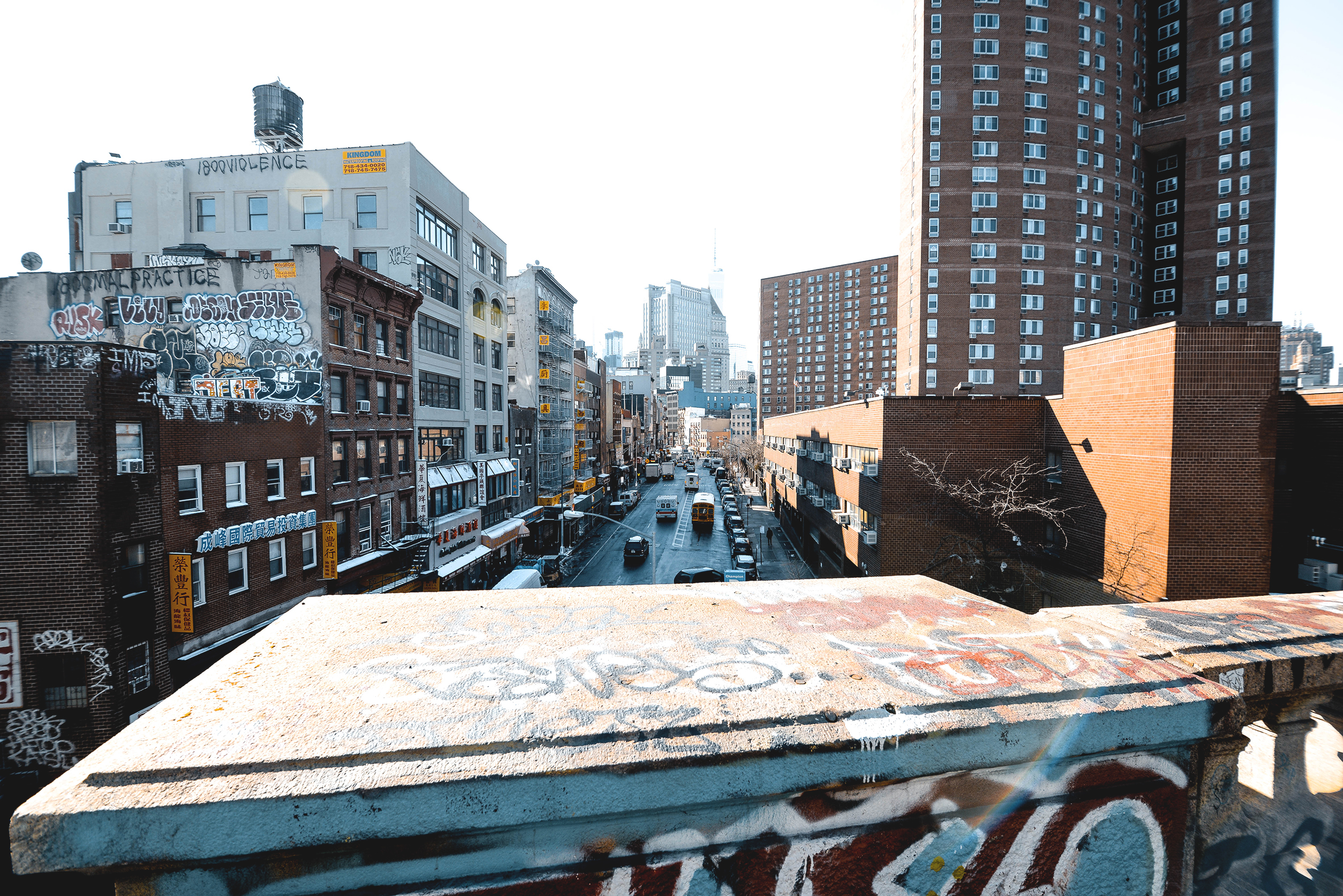 纽约 24 小时 | 中央公园、布鲁克林、中国城、中城、炮台公园-13