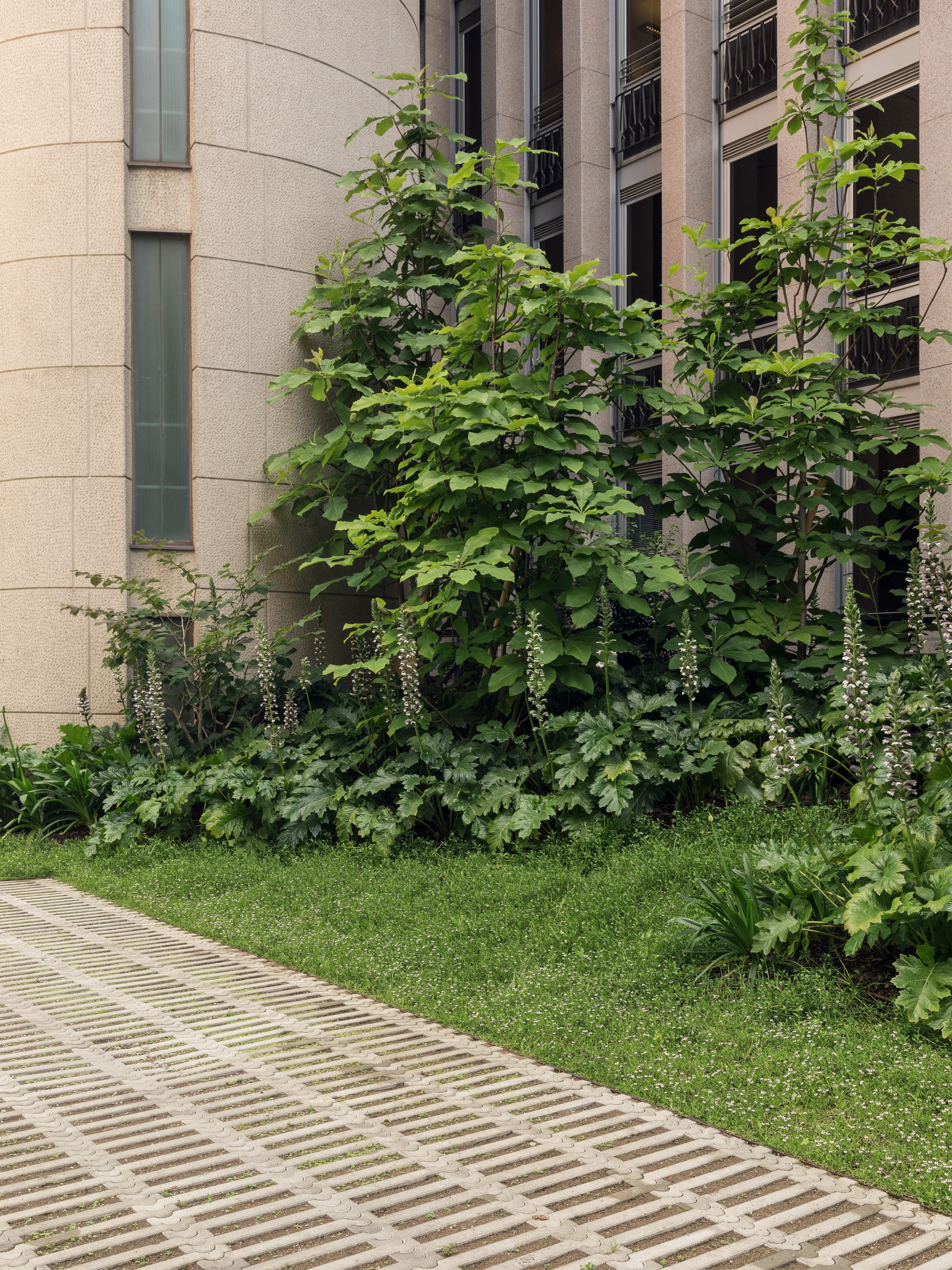 帕莱奥卡帕 7-38