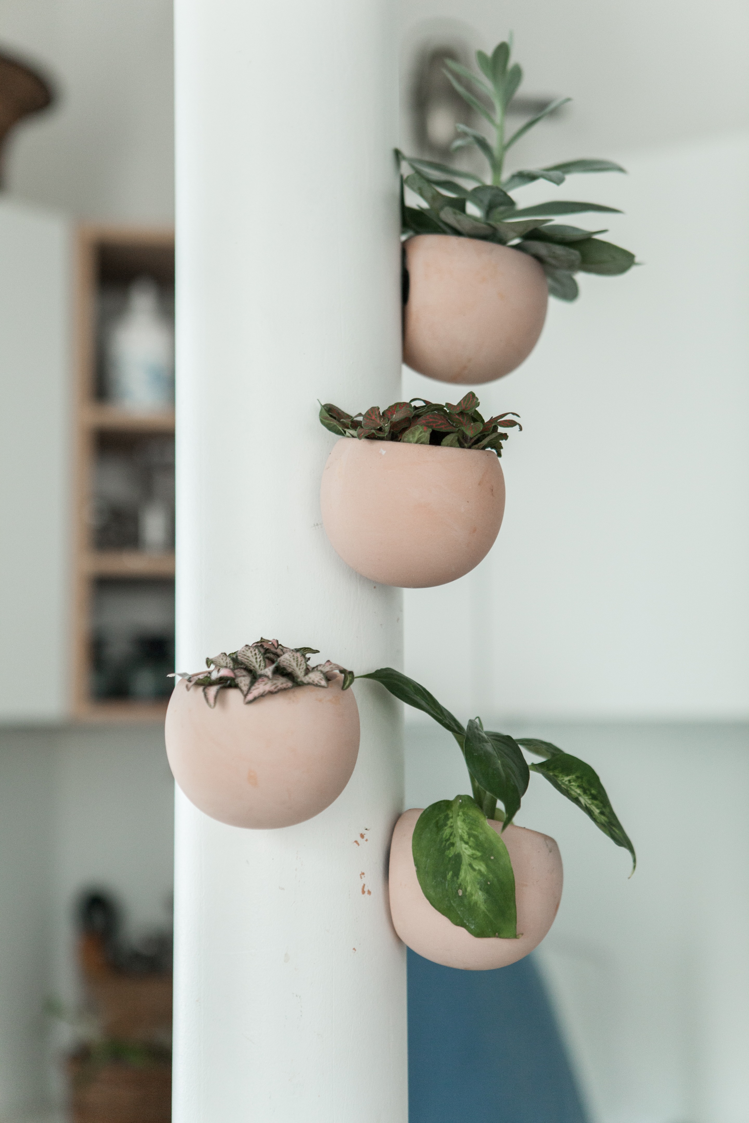 2018 年绿色倾泻公寓 | 环保设计展现-4