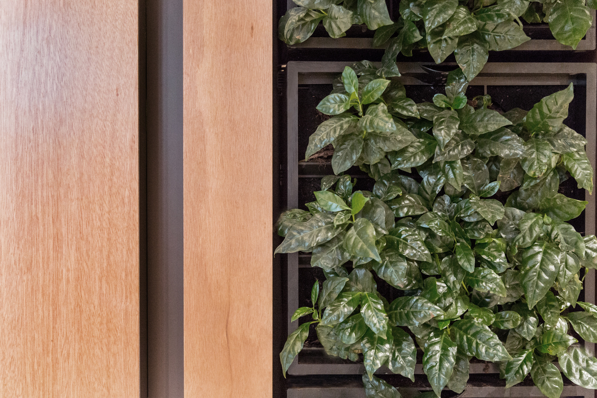 古宅新生,餐饮空间与历史文化的完美融合-28