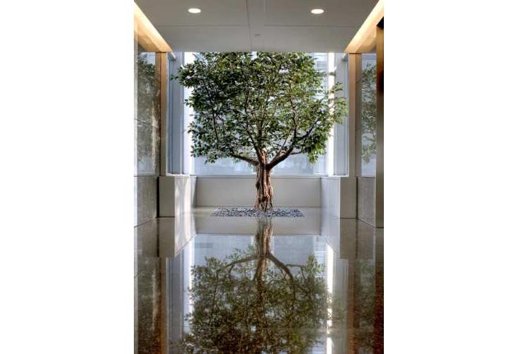 mmoser穆式办公-3-25