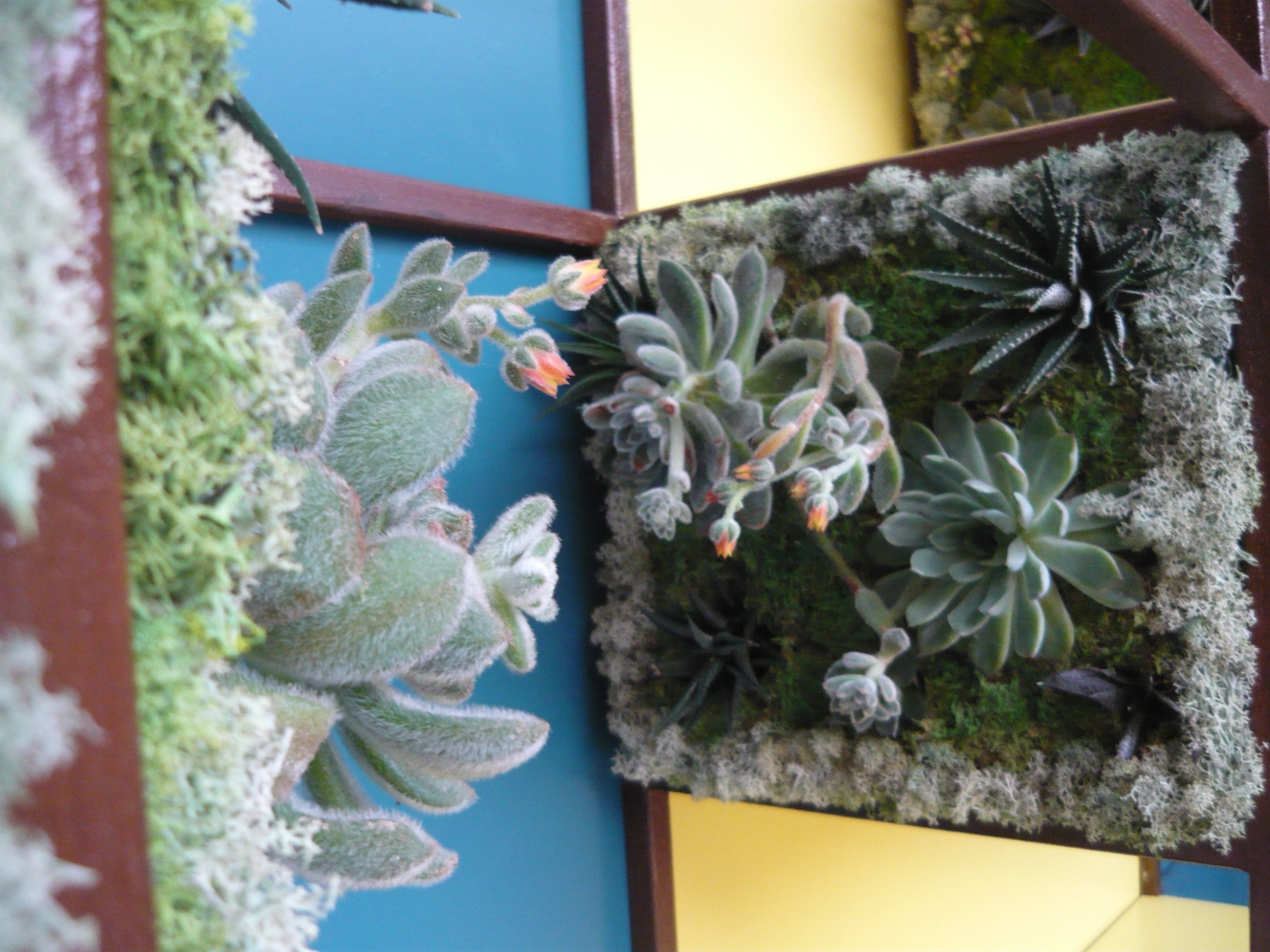 绿意盎然的城市花园——"Verde Matematico"餐厅设计-29