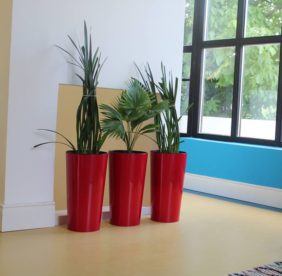 2017 年完成的幼儿园室内设计案例-9