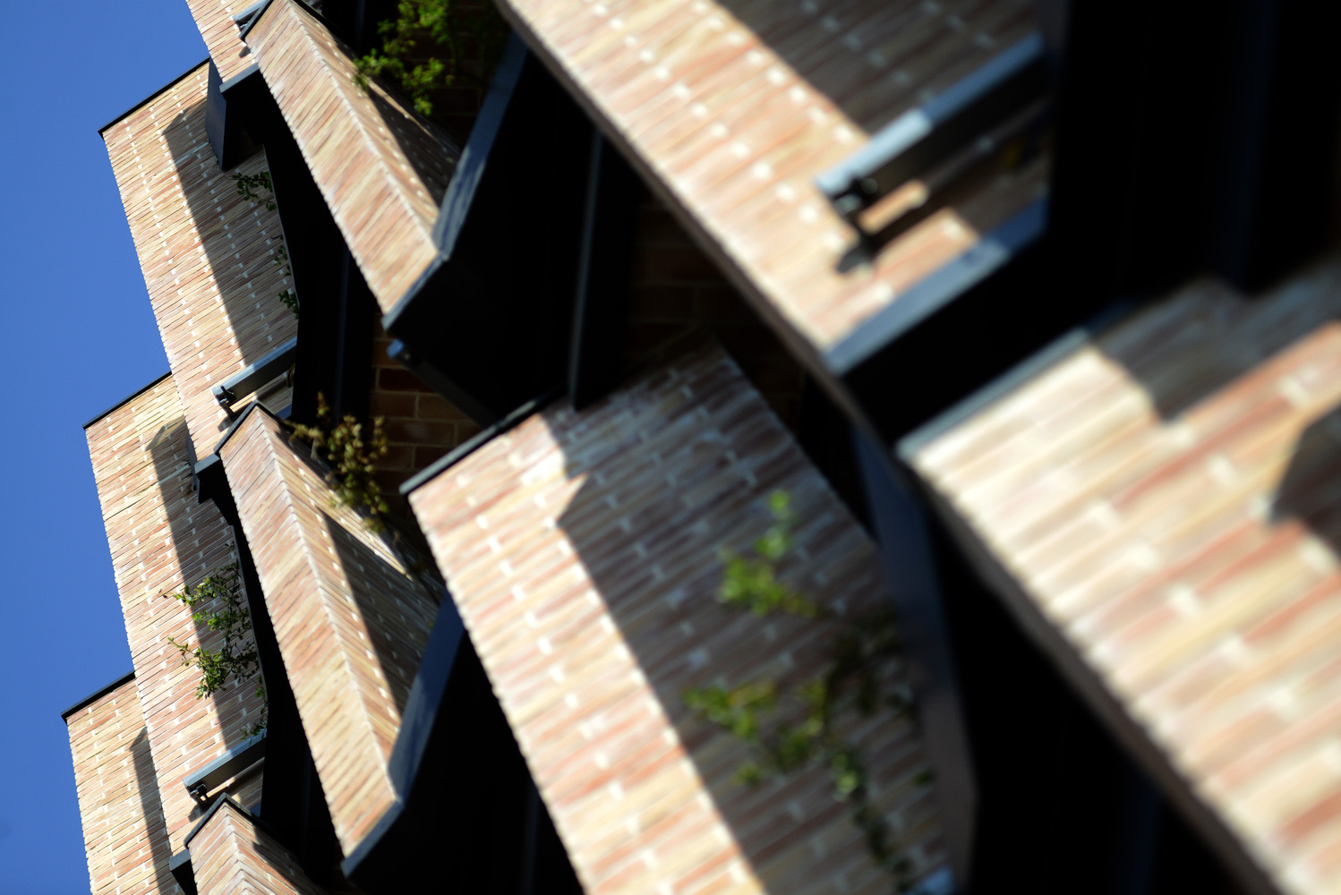 伊朗德黑兰“砖之韵”办公室设计-42