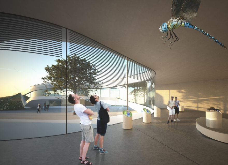 绿意盎然的城市公园-5