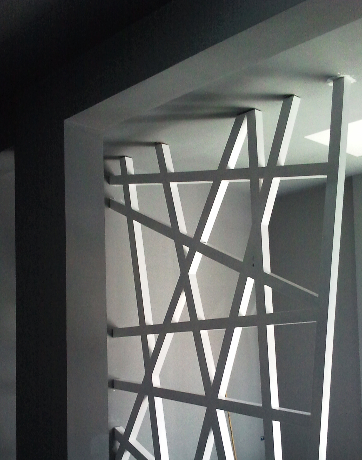 2011 年完成的 Tara 摄影实验室-0