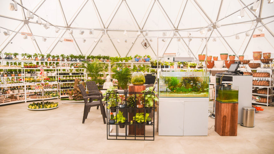 绿色氧吧 NG Studio-10