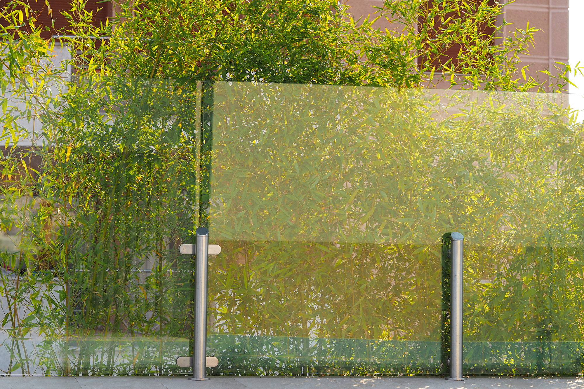 为所有感官而创造，私人住宅花园和屋顶露台-56