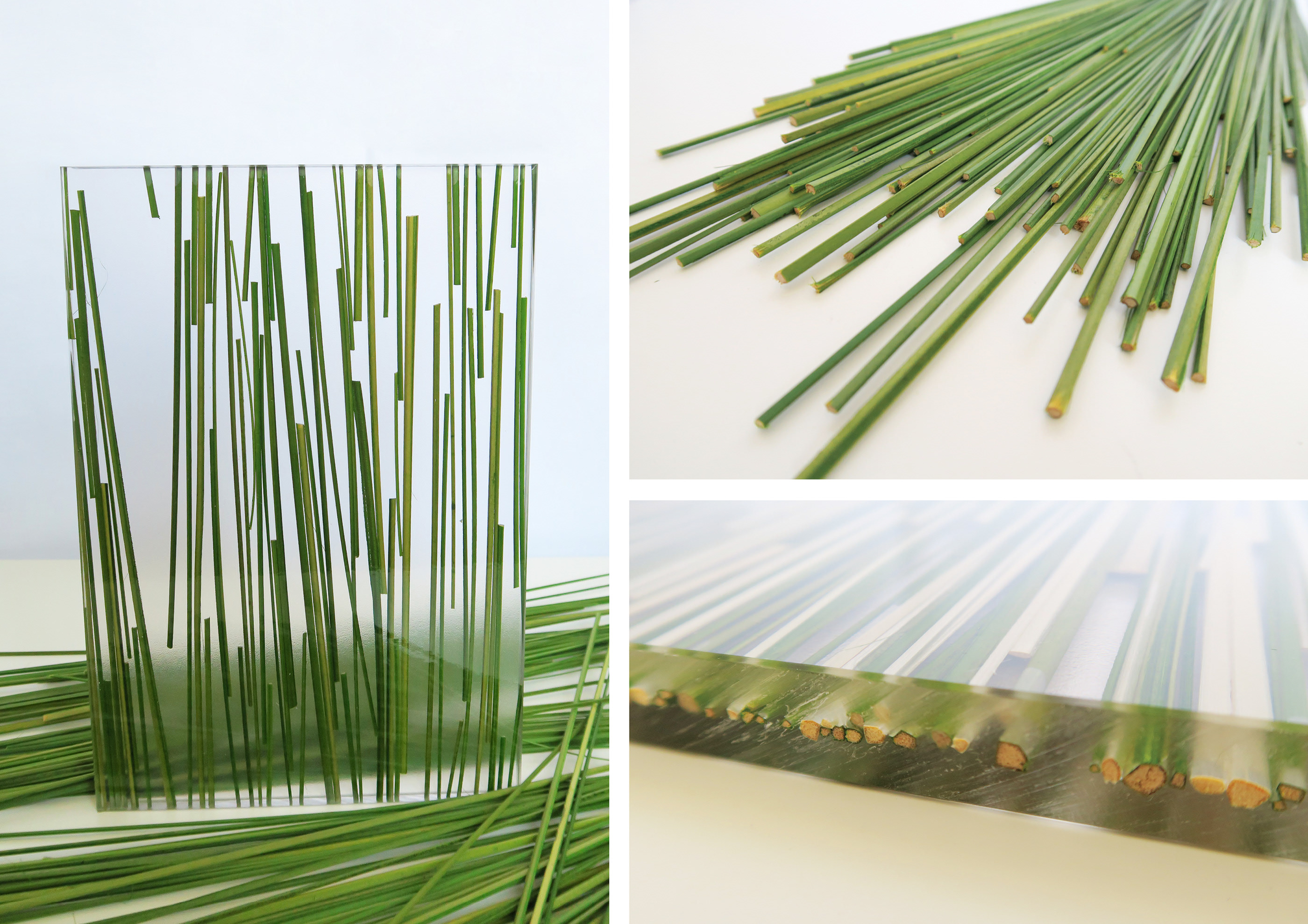 自由空间·2017 设计项目-2