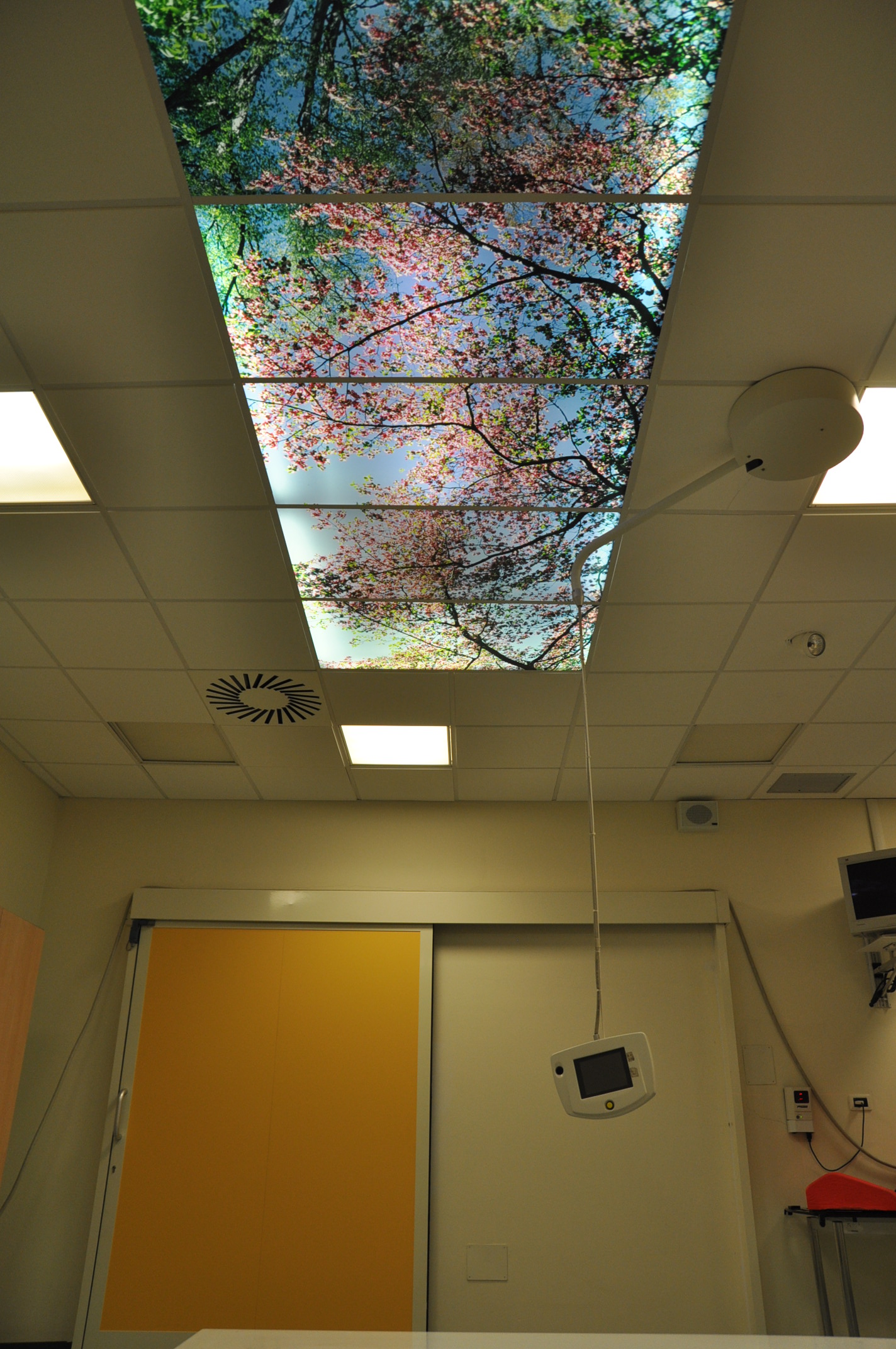 1999 年完成的圣奥尔索拉血液病研究所-26