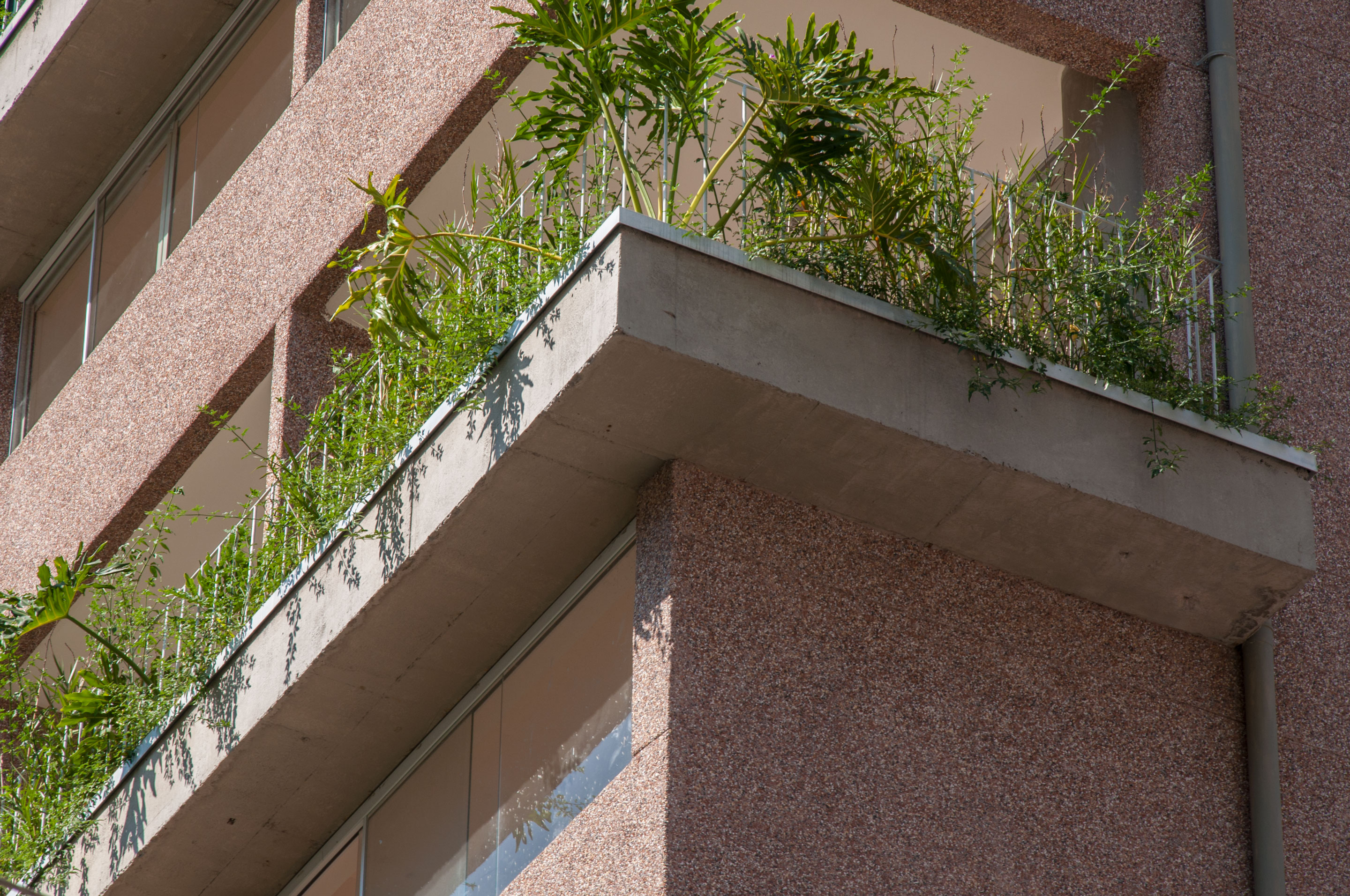 巴西绿色住宅楼，绿意盎然与城市景观相融-7