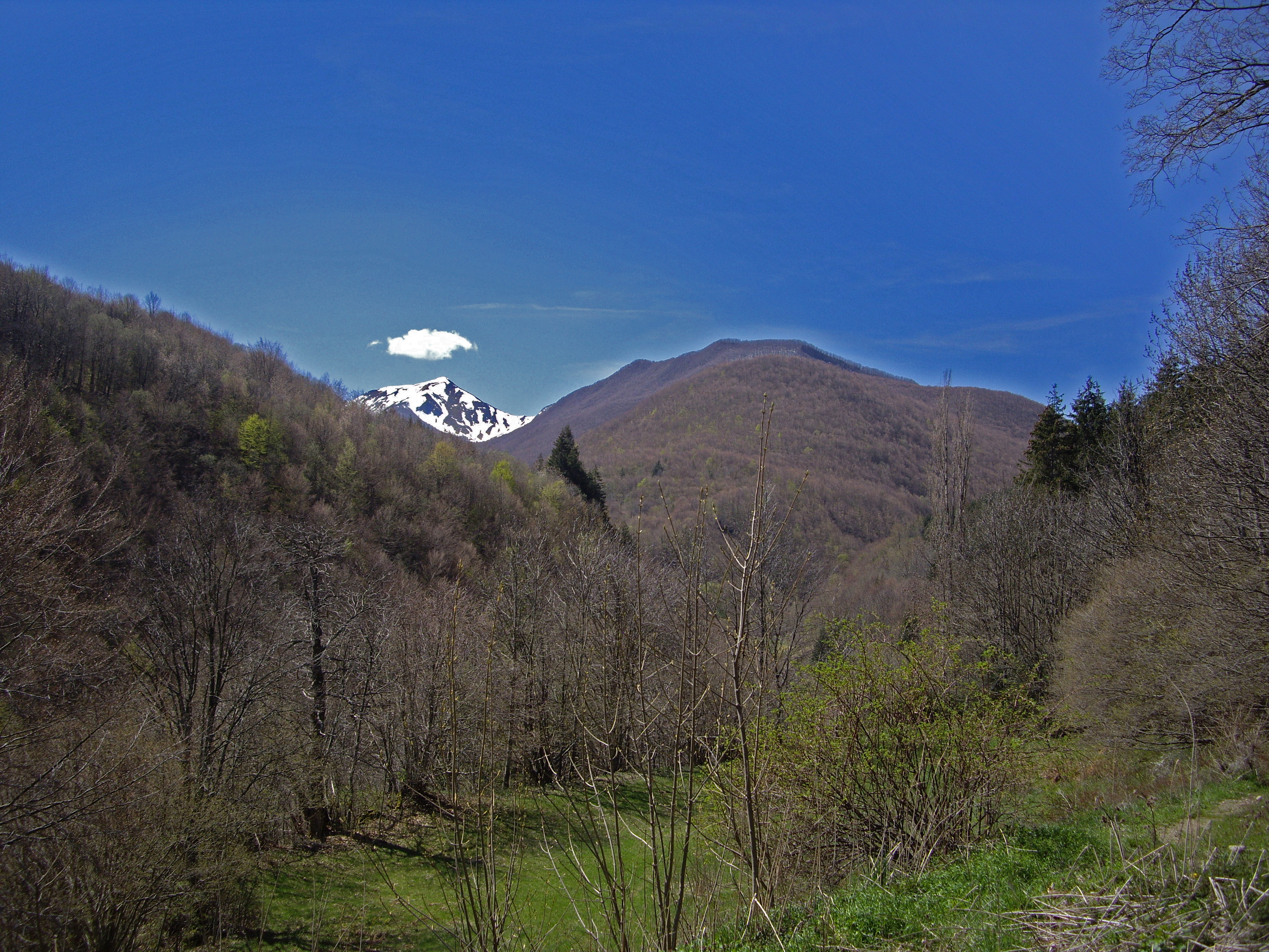 S·I·A· 吊椅索道建设项目（法纳诺）-25