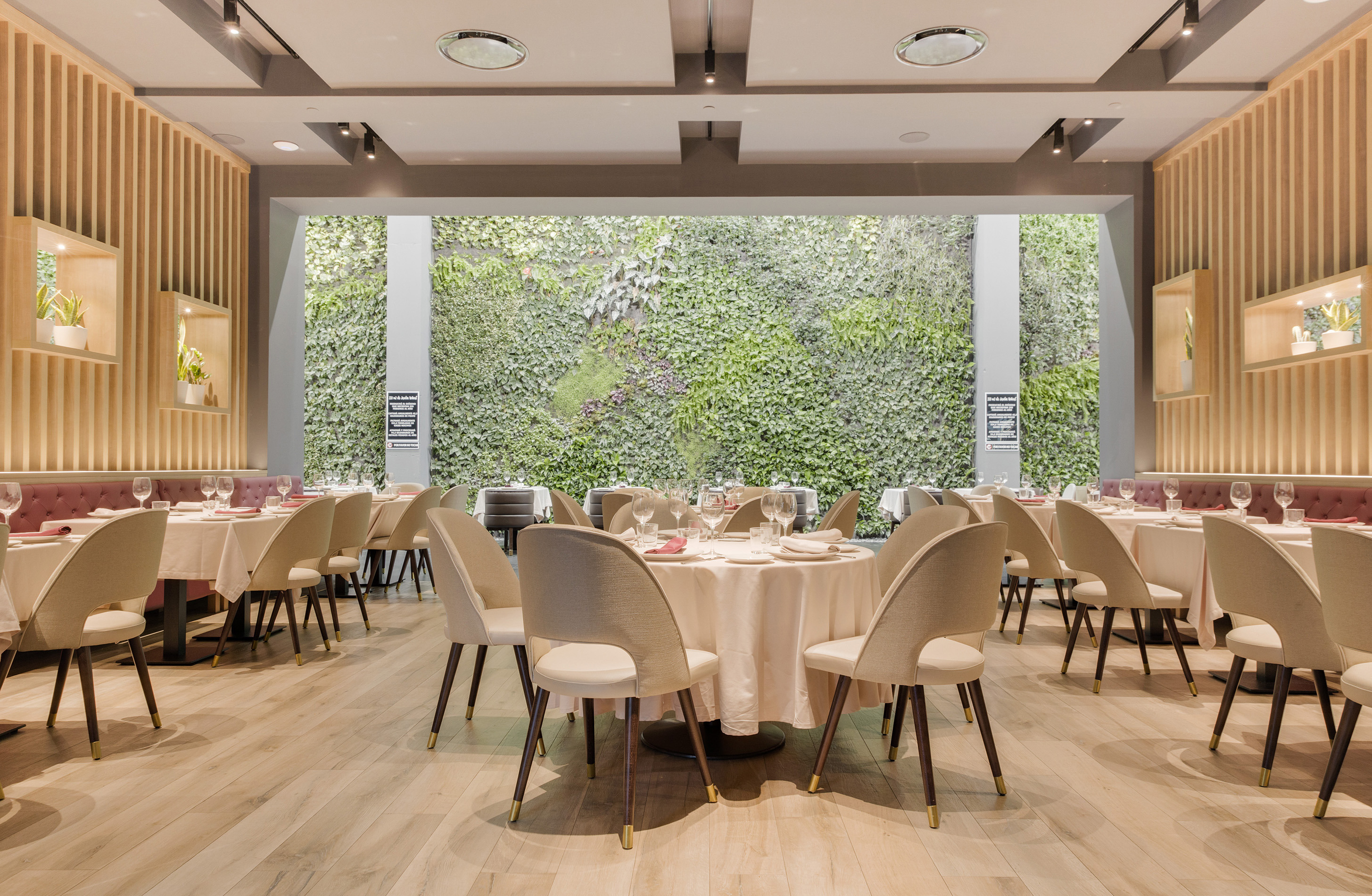 穿越海洋的美食之旅 | BÁLAMO 餐厅-0