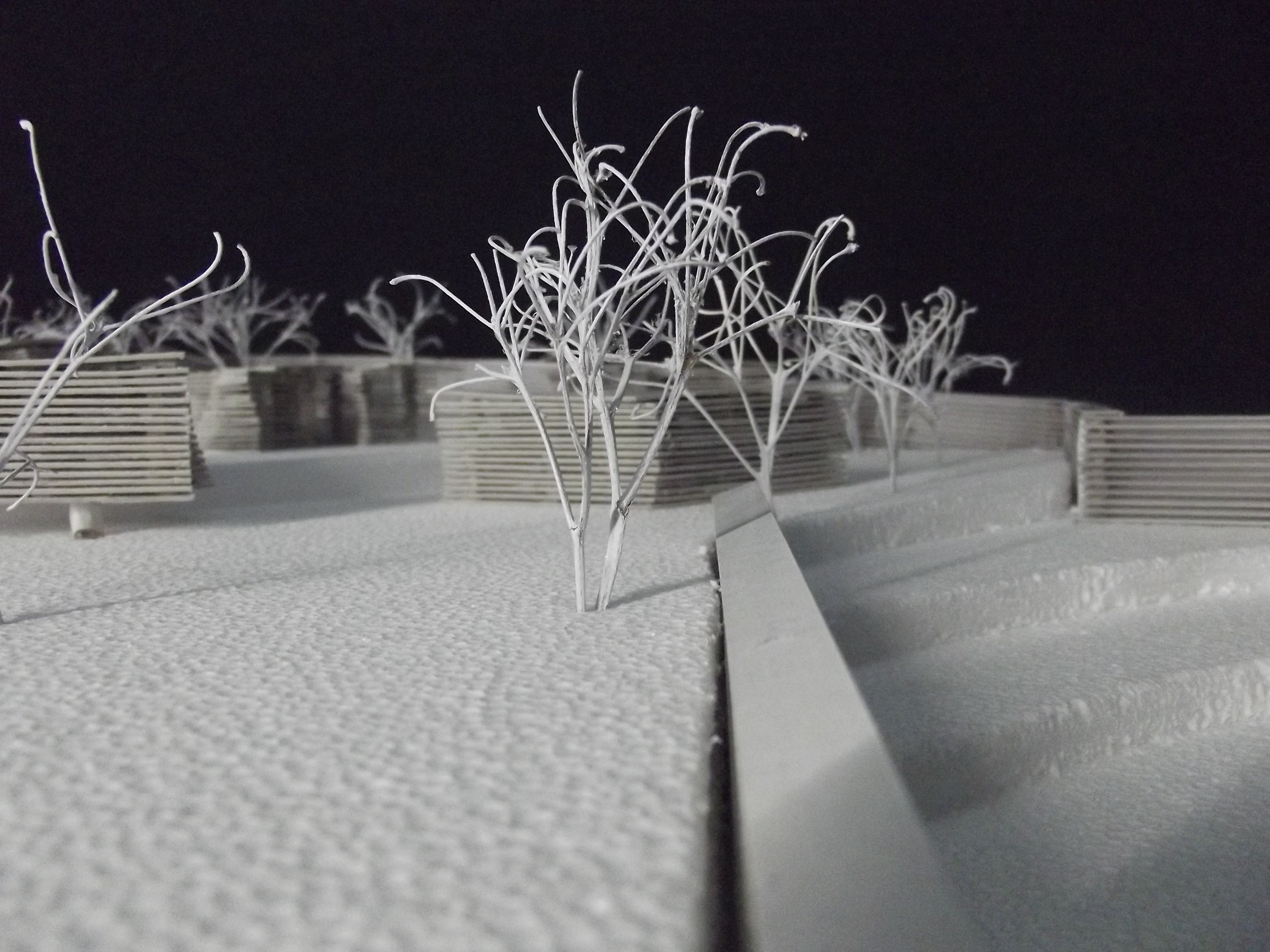 2015 年完成的年度项目 | 公园、公共花园、模块化住宅与展览装置-9