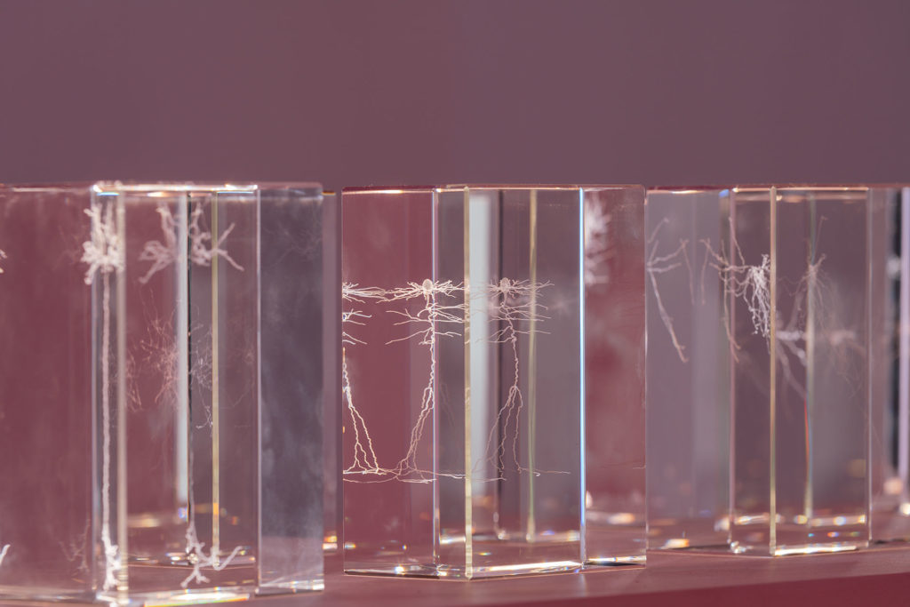 "人类"设计的探索 | 2018 年普林斯顿大学建筑学院展览-15