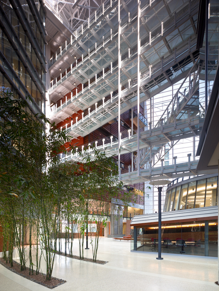 CARE,Crawley大楼-3