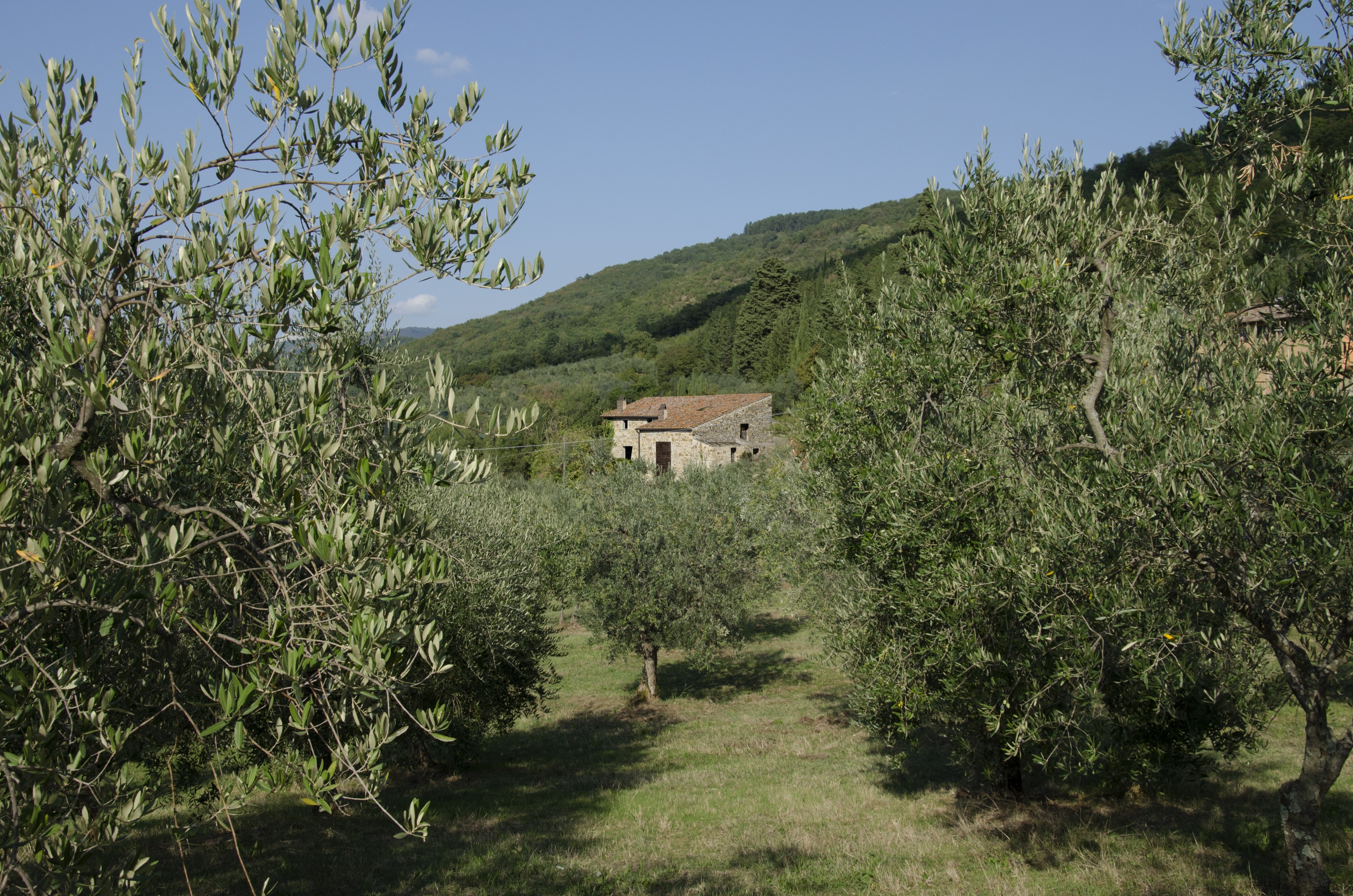 意大利乡村废旧粮仓的华丽变身-0