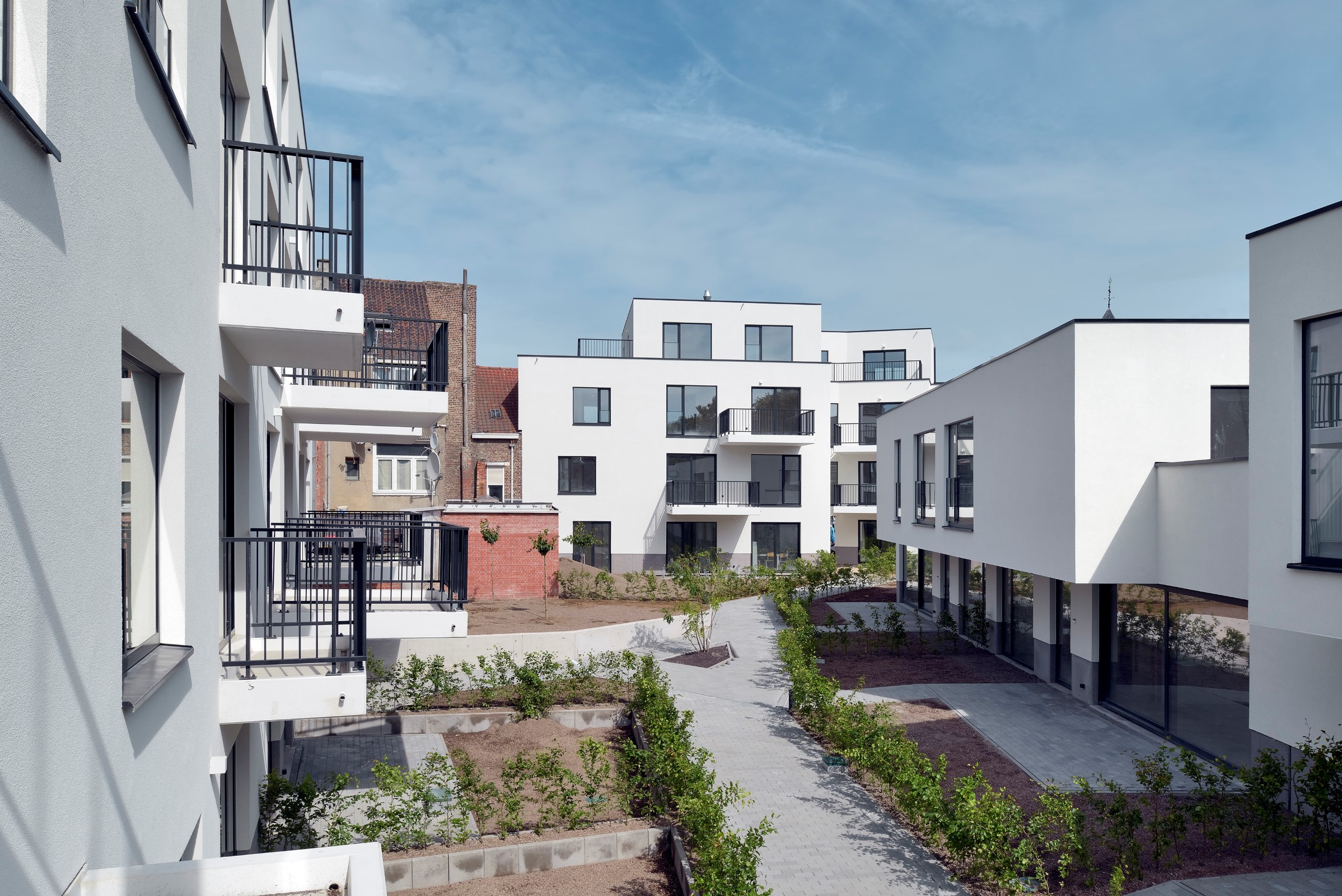 绿意盎然,功能明确的现代住宅设计-4