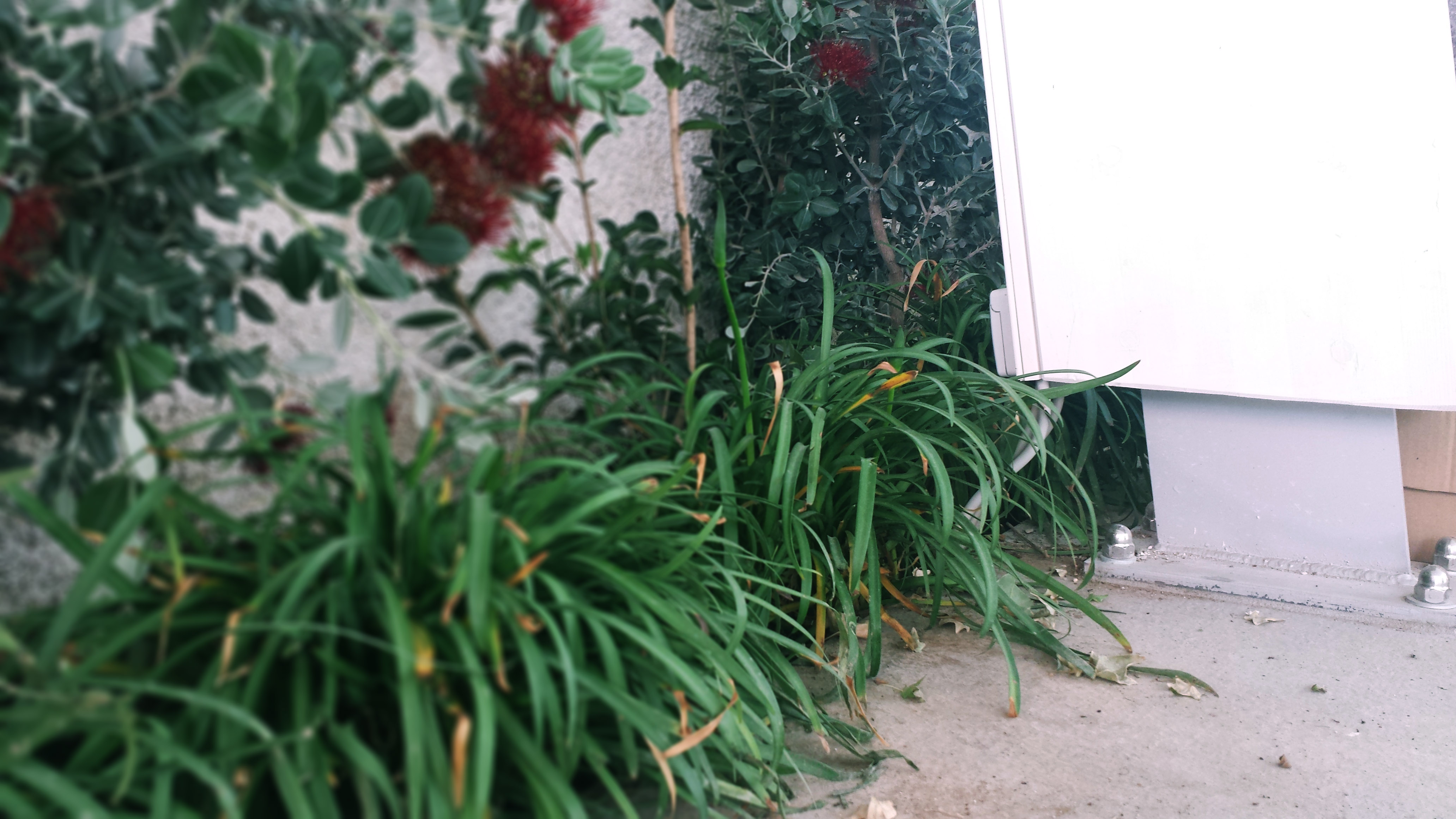 绿意盎然的城市花园——"Verde Matematico"餐厅设计-12