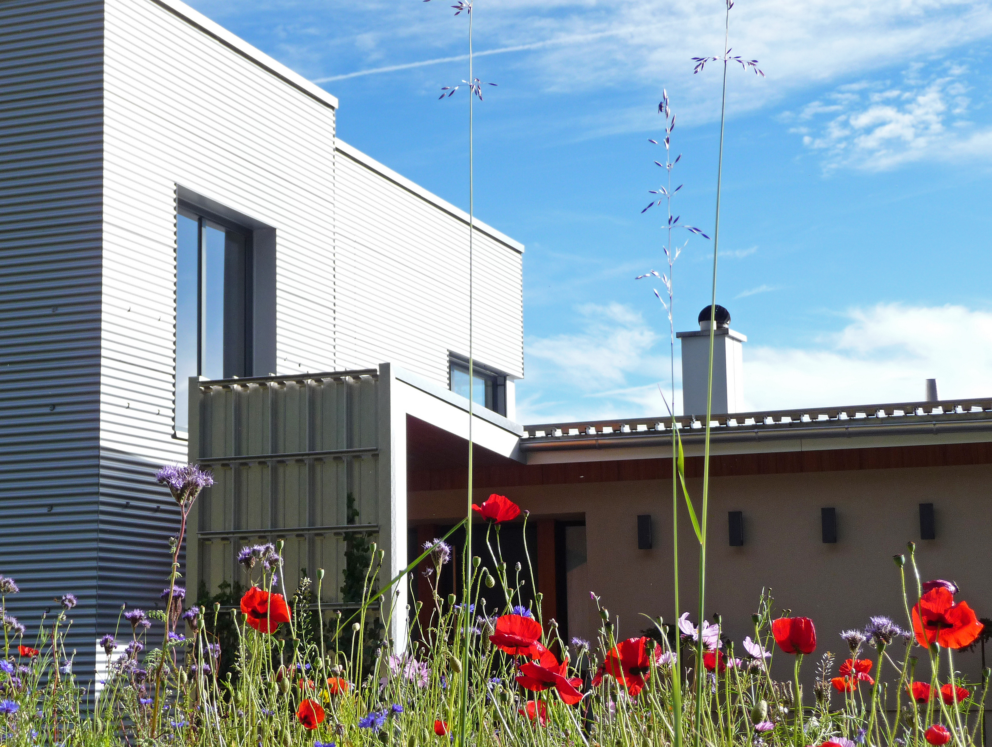 2013 年完成的 window 建筑室内设计-10