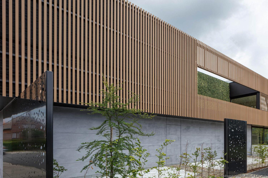 历史建筑的现代重生·CGL Consult 模型设计-2