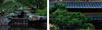 太白山·唐镇丨中国白山-20