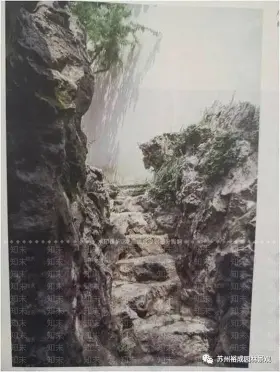 我心中的苏式园林丨中国苏州-2
