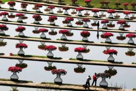 成都花舞人间农业观光规划-5