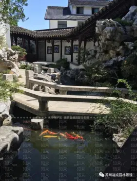 我心中的苏式园林丨中国苏州-14
