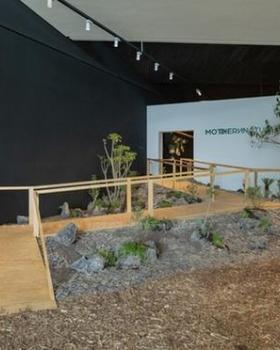 墨西哥城"Modthern Nature"艺术装置 | 自然与艺术的完美融合